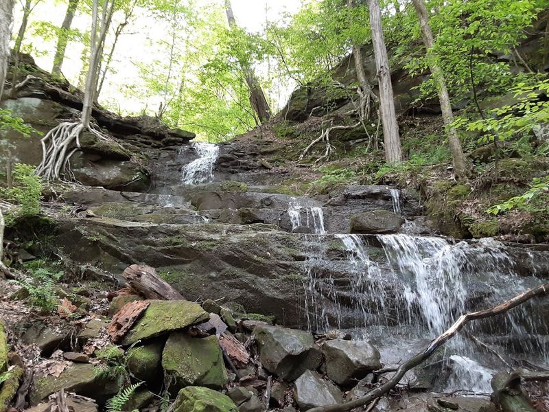 The Waterfall You Might Almost Miss