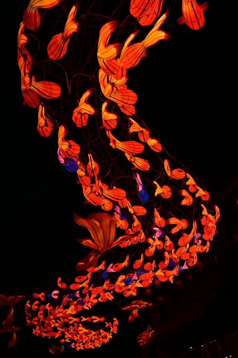 Lantern Art Takes Over The Zoo