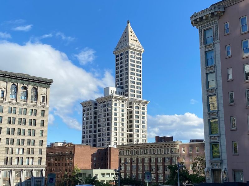 Architectural Whimsy Meets Function