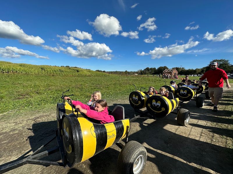 A Bumblebee Tractor Ride