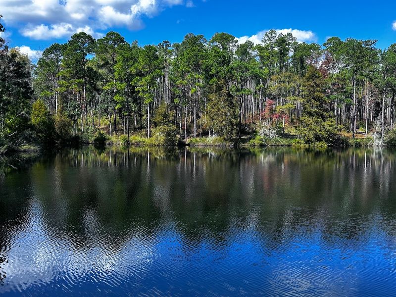 A Small Lake Offers Swimming And A Surprising Spot To Cool Off