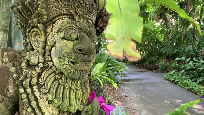The Lily Pond And Peaceful Garden Paths