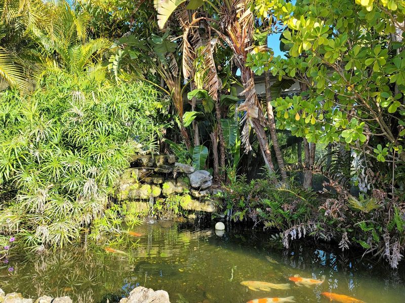 Wildlife And Natural Beauty Surrounding The Spring