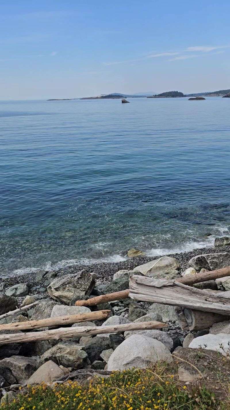 A Calm Bay With Big Views A Calm Bay With Big Views