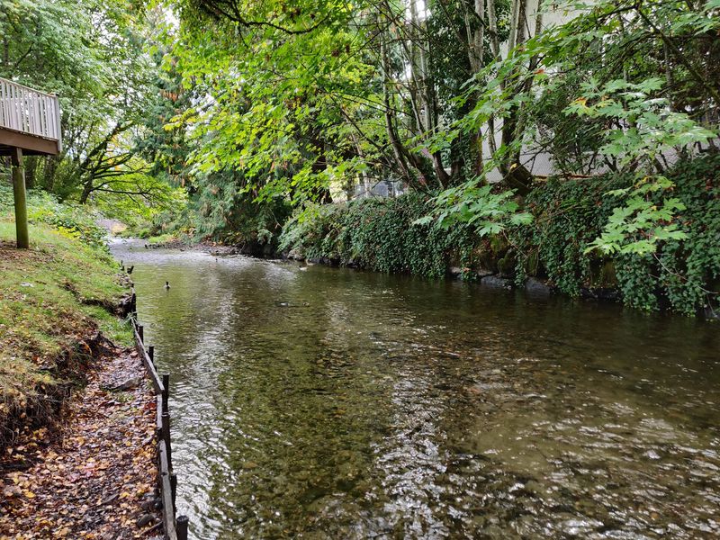 A Calm, Tranquil Place to Slow Down