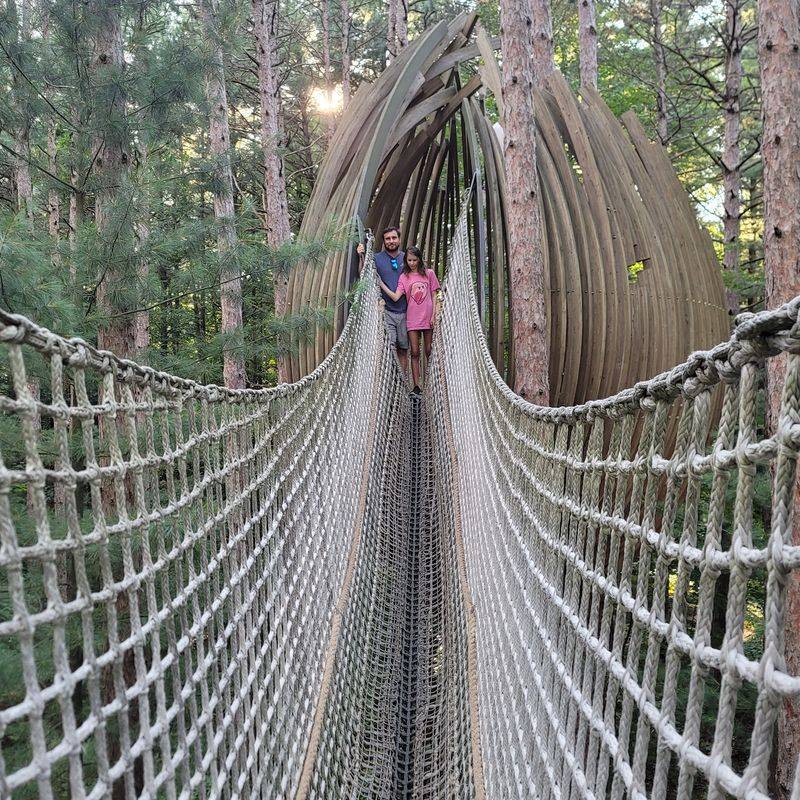 A Canopy Walk Above Whiting Forest