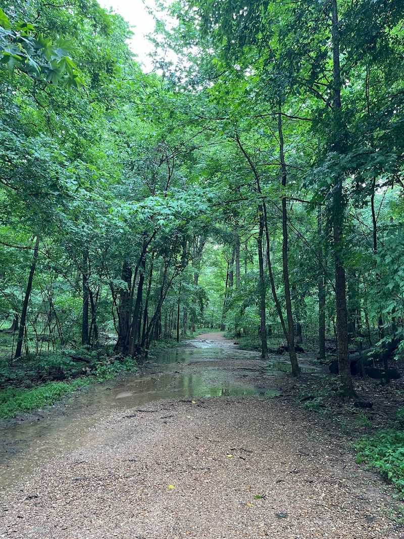 The Trail Distance And Difficulty Level