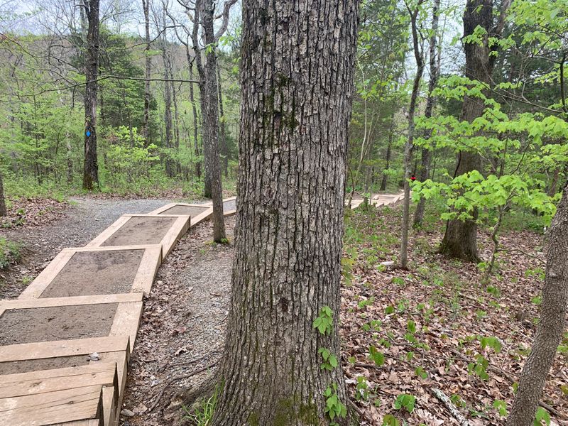 Trail Tips That Actually Help