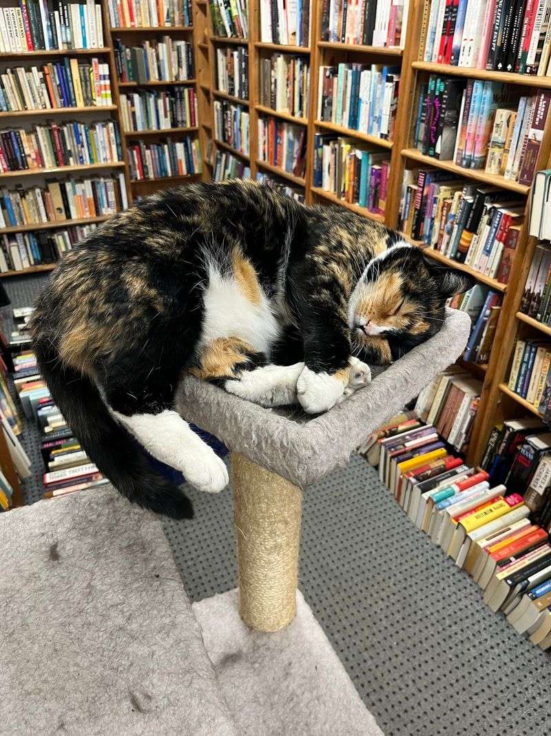A Capitol Hill Bookshop Worth the Trip