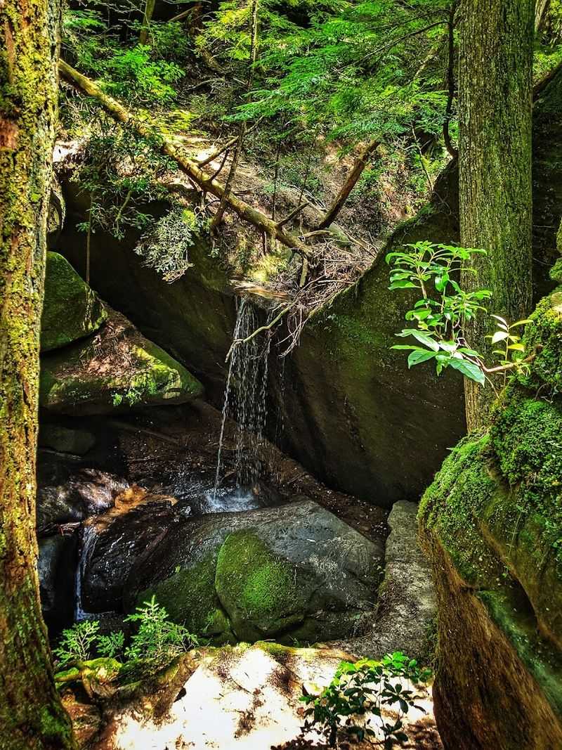 Cold, Clear, And Completely Worth It