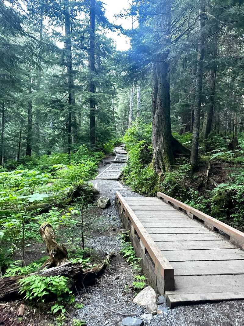 A Cascade Foothills Trailhead Off Interstate 90