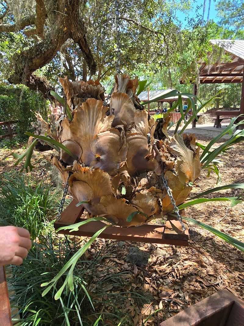 The Water Temperature Stays At 72 Degrees Year Round