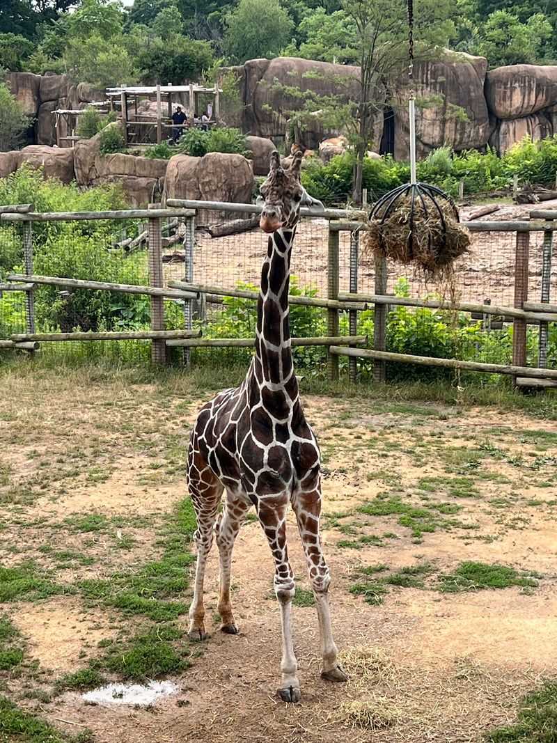 A Central Illinois Home For Global Wildlife
