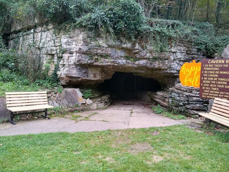 Early European Expeditions Reached The Region In The 1500s