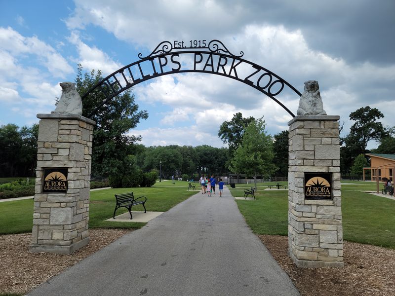 First Impressions Under Tall Trees