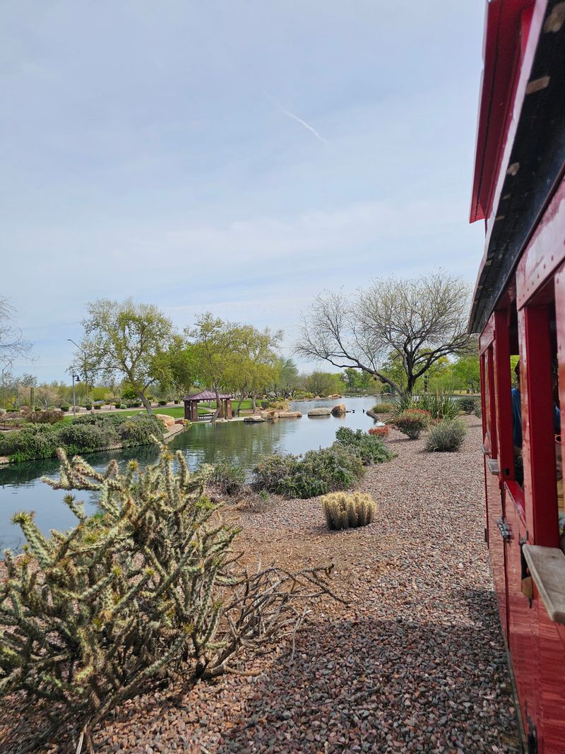 Scenic Routes Through Desert Beauty