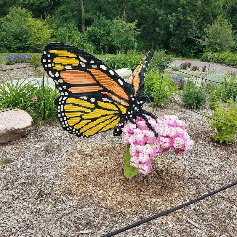 Seasonal Garden Events