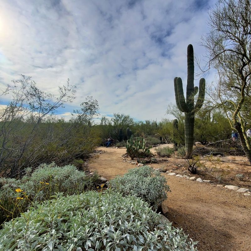 Indigenous Culture And History Woven Into The Landscape