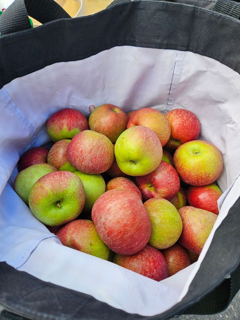 A Cider Recipe Four Decades In The Making
