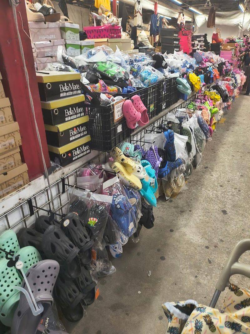 Alligators You Can Actually Feed