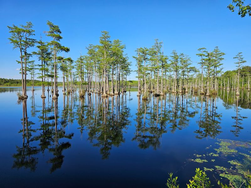 A Civil War Era Mill Pond Still Steals The Show