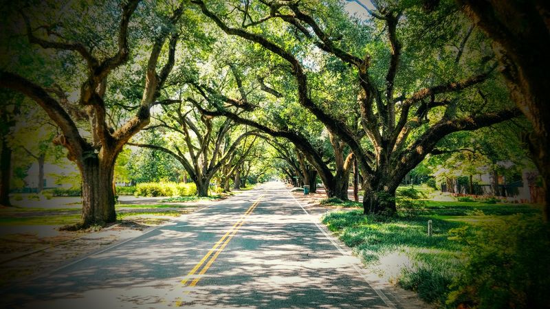 A Climate That Trades Brutal Winters For Mild, Sunny Days