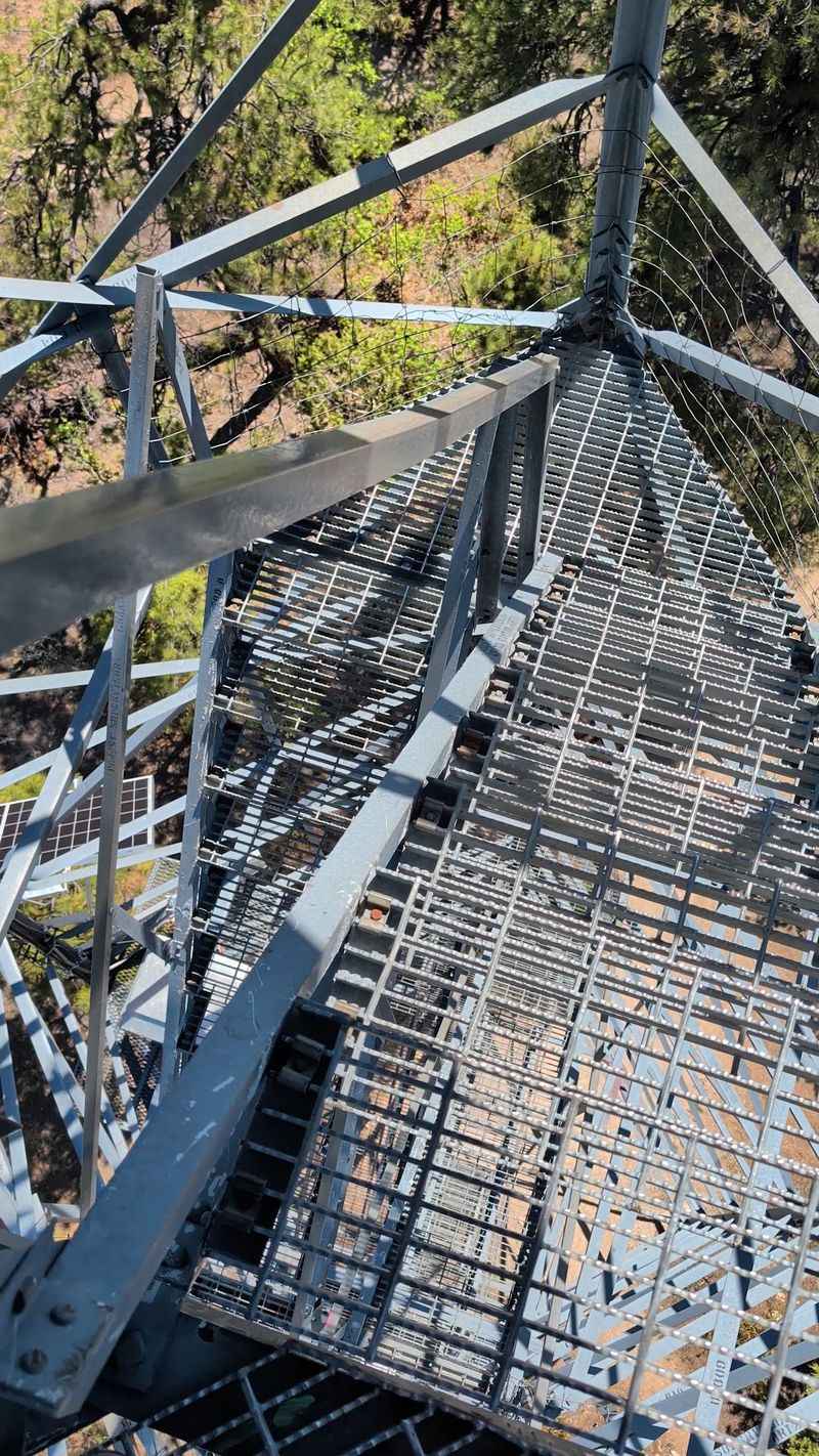 A Climb for the Brave-Hearted