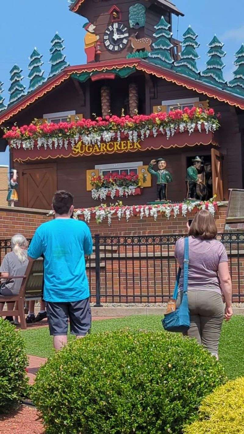 The Show Itself: Every 30 Minutes On The Dot