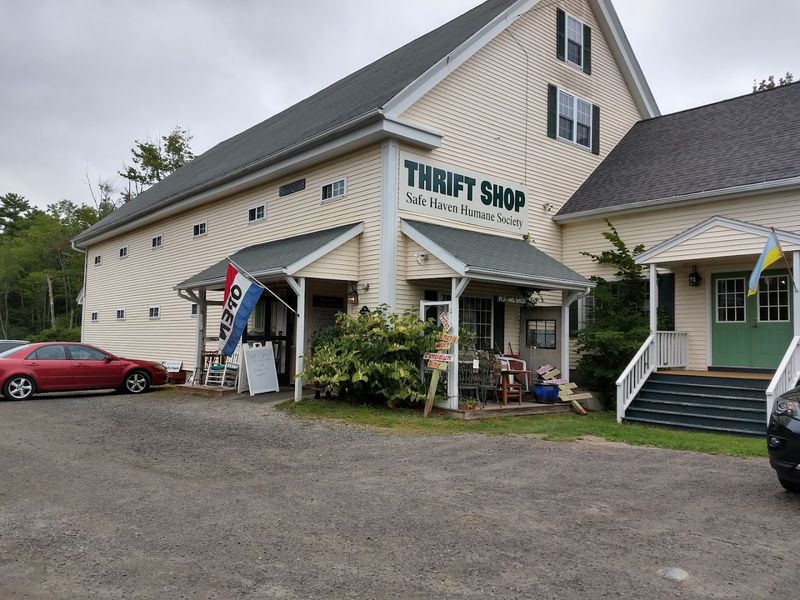 A Coastal Thrift Detour
