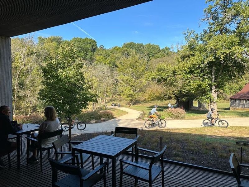 The Hidden Spot Where Silence Replaces The Usual Café Noise
