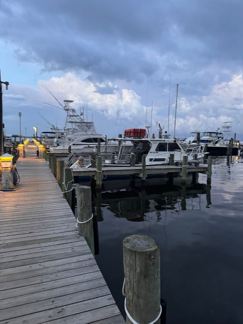 Marine Life So Dense It Will Stop You Mid-Kick