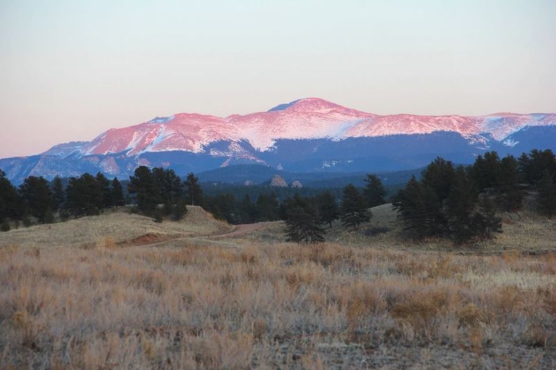 A Colorado Memory That Fits In A Specimen Box