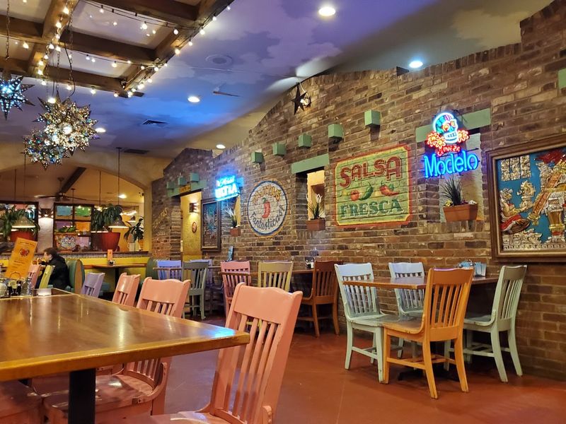 A Comfortable Setting With A Family-Friendly Feel