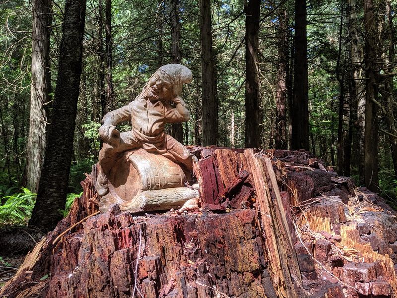 A Community Art Project Rooted In Care