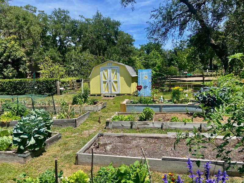 A Community Garden Full Of Life