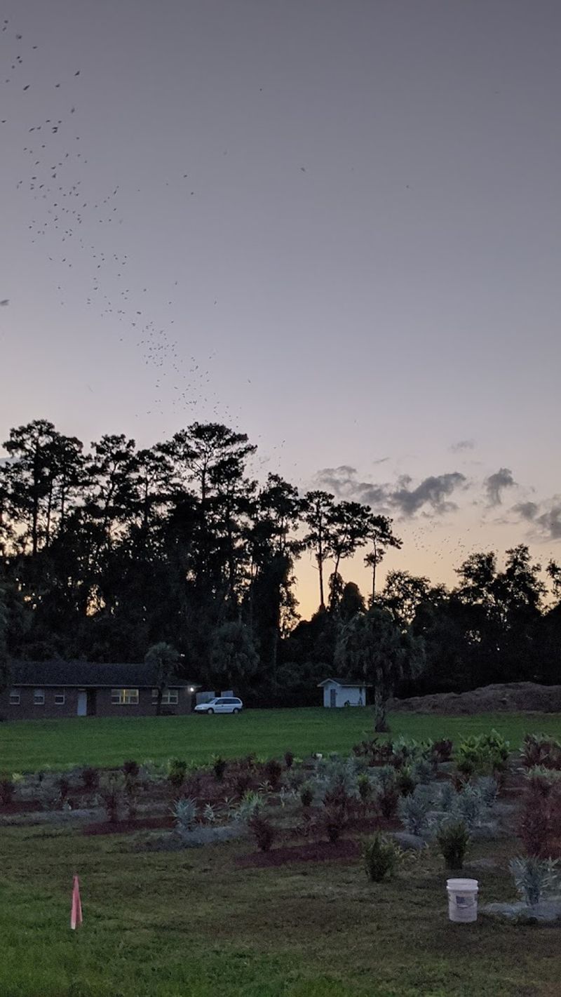 Timing Your Visit For Maximum Impact