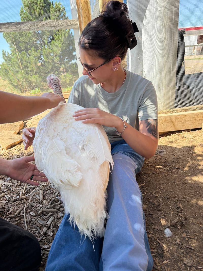 A Compassion Mission That Began In 2015