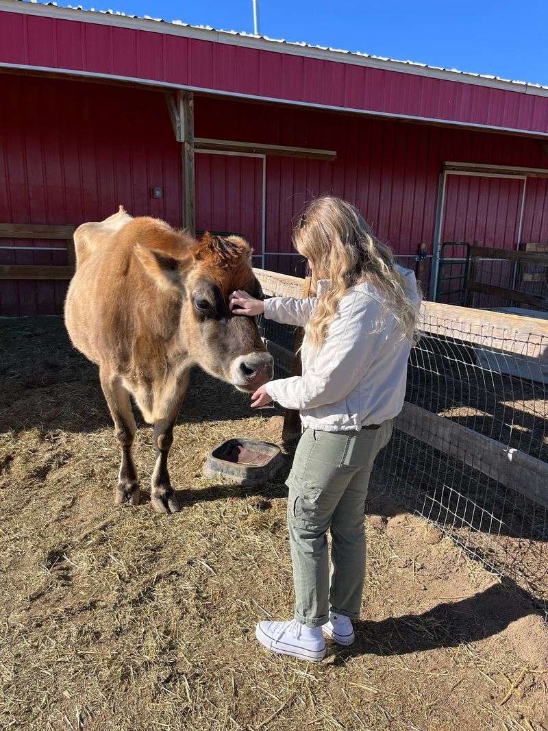 A Compassionate Stop On County Road 7