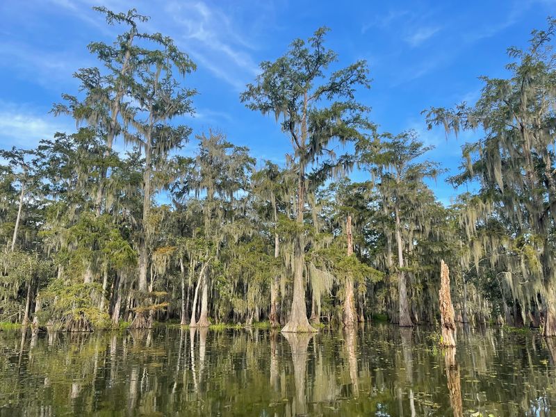 A Conservation Group Keeps This Wild Place Running Smoothly A Conservation Group Keeps This Wild Place Running Smoothly