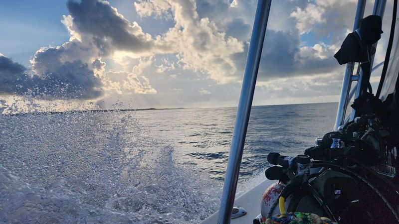 Planning Your Own Trip To The Mighty O