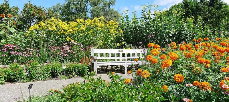 The Great Lakes Gardens Celebrate Michigan's Natural Beauty