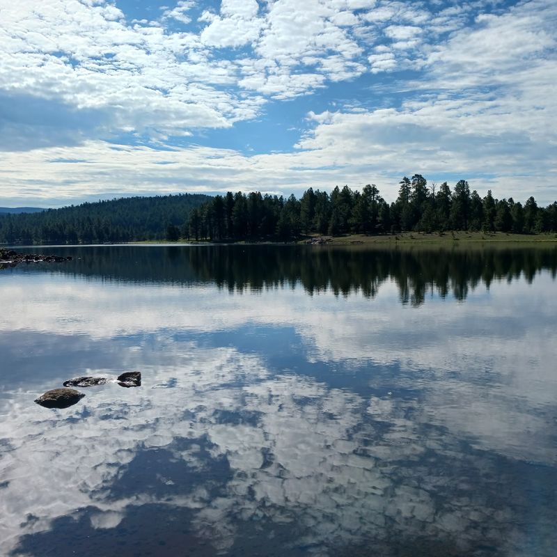 A Cool Mountain Setting Above The Desert A Cool Mountain Setting Above The Desert
