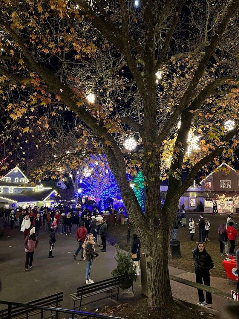 Year-Round Events Make Every Season Worth A Visit