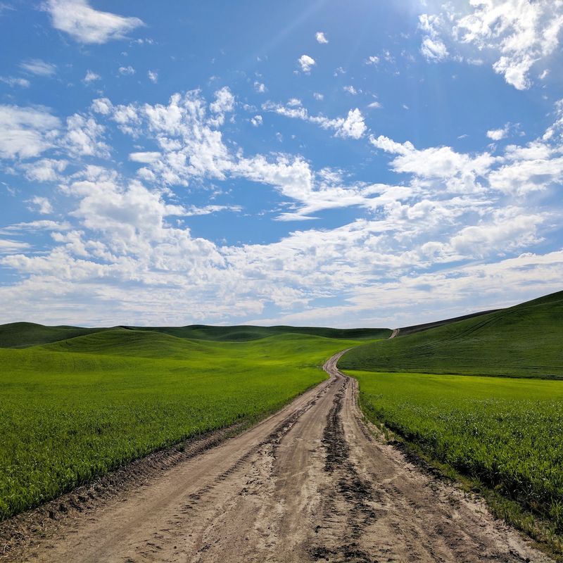 A County Seat Smack in the Middle of the Palouse