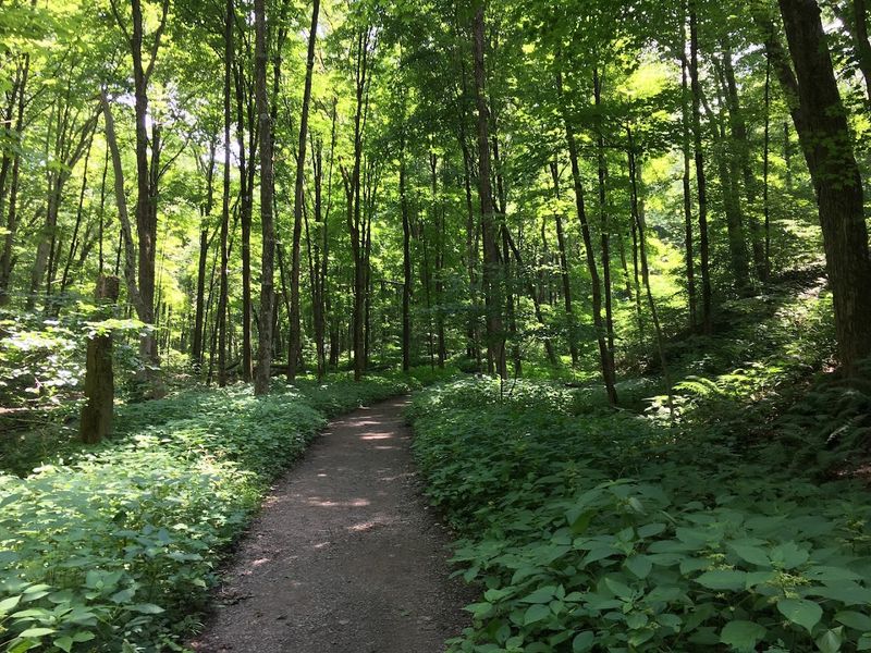 Nine Miles of Trails With Something for Everyone