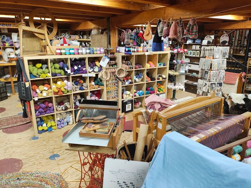 A Crafter’s Unexpected Find