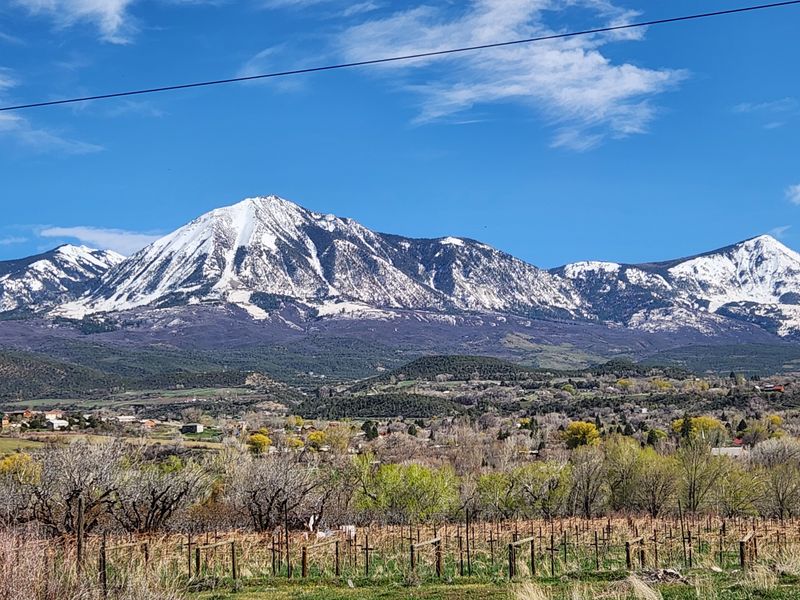 The Kind of Quiet That Lets You Hear Yourself Again