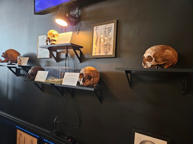 The Collection Inside: Oddities, Skulls, and True Crime Treasures