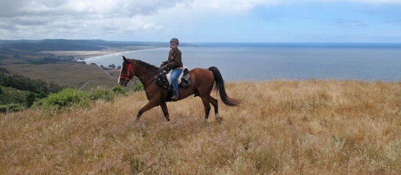 Horseback Riding Through Coastal Ranch Country
