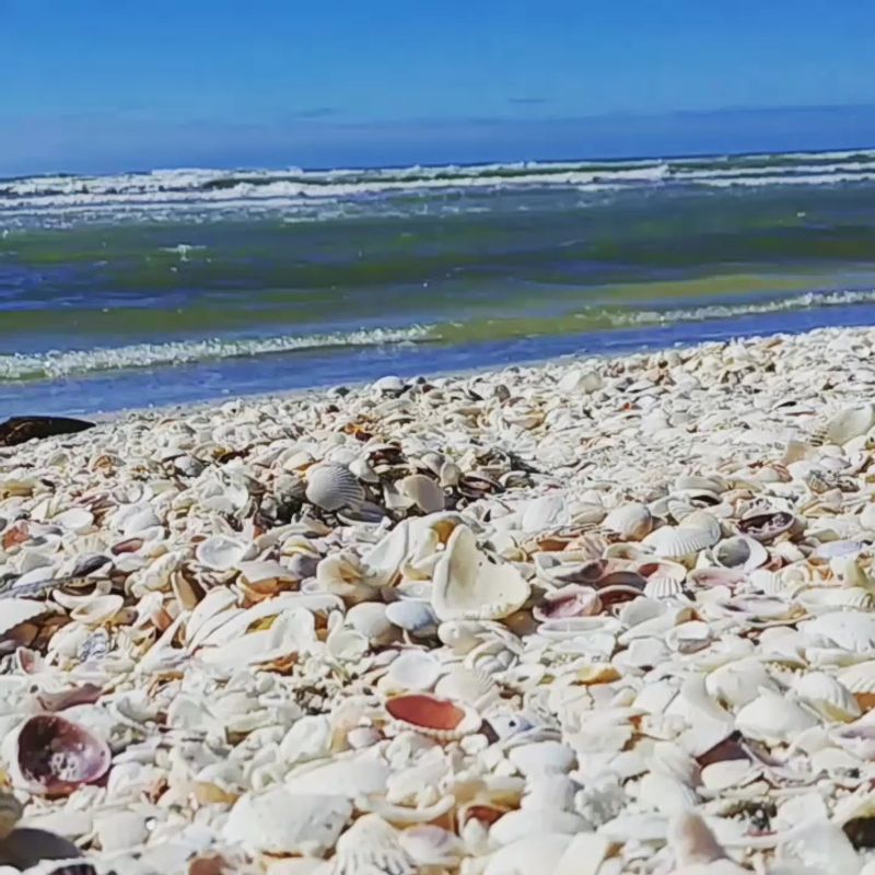 Tips You Will Be Glad You Knew